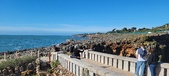 Enlarge photo 99