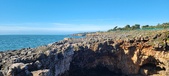 Enlarge photo 103