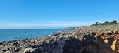Enlarge photo 104
