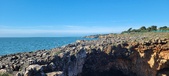 Enlarge photo 105