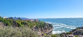 Enlarge photo 111