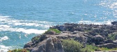 Enlarge photo 113