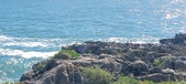 Enlarge photo 114