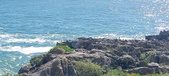 Enlarge photo 115
