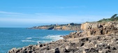 Enlarge photo 118