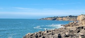 Enlarge photo 119