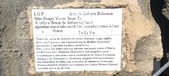 Enlarge photo 122