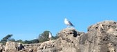 Enlarge photo 125
