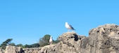 Enlarge photo 126
