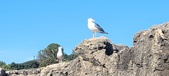 Enlarge photo 127