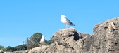 Enlarge photo 128