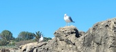 Enlarge photo 140