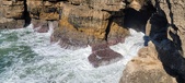 Enlarge photo 154