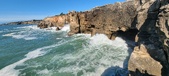 Enlarge photo 173