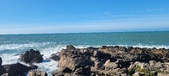Enlarge photo 179