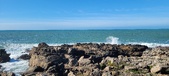 Enlarge photo 181
