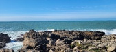 Enlarge photo 183