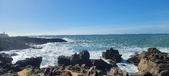 Enlarge photo 184