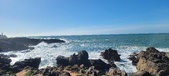 Enlarge photo 185