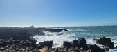 Enlarge photo 186