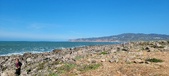 Enlarge photo 187