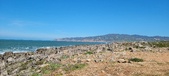 Enlarge photo 188