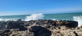 Enlarge photo 192