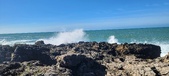Enlarge photo 193