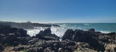 Enlarge photo 195