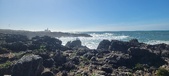 Enlarge photo 199