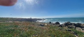 Enlarge photo 202