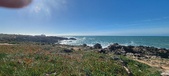 Enlarge photo 203