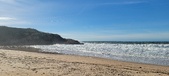 Enlarge photo 223