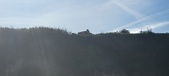 Enlarge photo 236