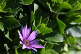 Enlarge photo 95