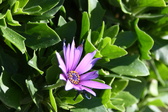 Enlarge photo 94