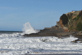 Enlarge photo 93