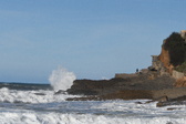 Enlarge photo 90