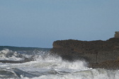 Enlarge photo 84
