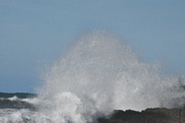 Enlarge photo 82