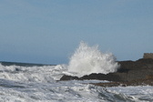 Enlarge photo 73