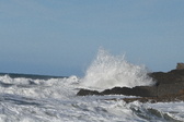 Enlarge photo 74