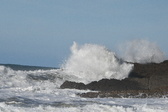 Enlarge photo 65