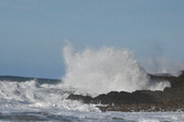 Enlarge photo 67