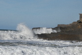 Enlarge photo 64