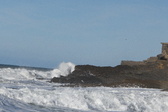 Enlarge photo 62