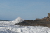 Enlarge photo 61