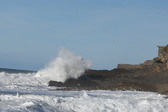 Enlarge photo 57