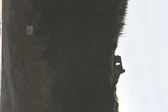 Enlarge photo 55