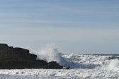 Enlarge photo 53